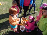 Sklízíme úrodu na zahrádce